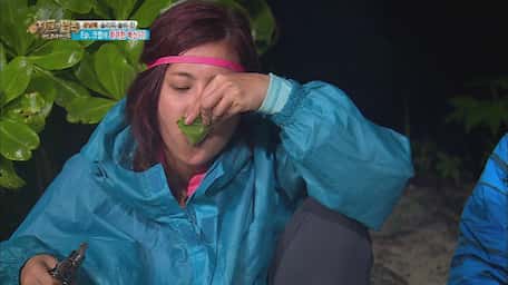 The Law Of Jungle Episode 251 Sub Indo Viu Indonesia