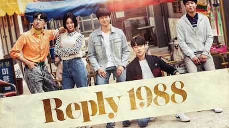 Stream And Watch Full Tv Series Reply 1988 Online With Subtitles