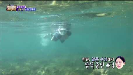 The Law Of Jungle Episode 389 Sub Indo Viu Indonesia