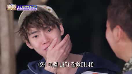 The Law Of Jungle Episode 392 Sub Indo Viu Indonesia