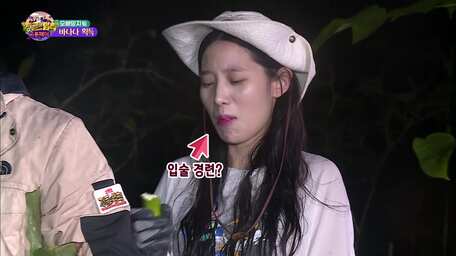 Watch The Law Of Jungle Episode 398 With Subtitles Viu Indonesia