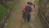 Arang And The Magistrate Episode 19 Sub Indo Viu Indonesia